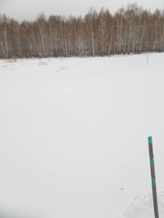 Земельный участок в п.Елунино, 15 мин до Павловска, 1891 м2 фото 3