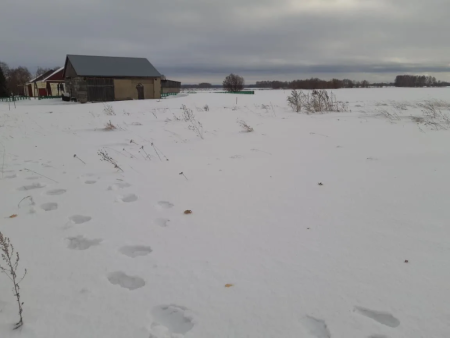 Земельный участок в п.Елунино, 15 мин до Павловска, 1891 м2 фото 4