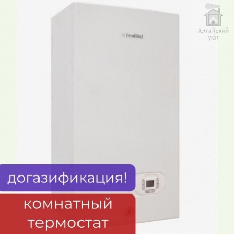 Котел газовый настенный двухконтурный FONDITAL MINORCA CTFS 15, 15 кВт, стальной теплообменник, с термостатом + дымоход